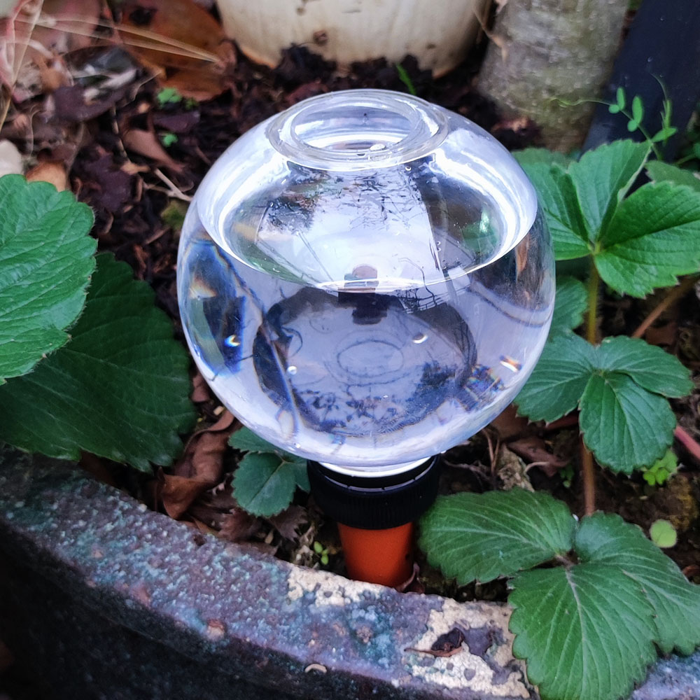 4-teiliges Automatisches Bewäs – Gardening Tools Green Bewertung und Preis