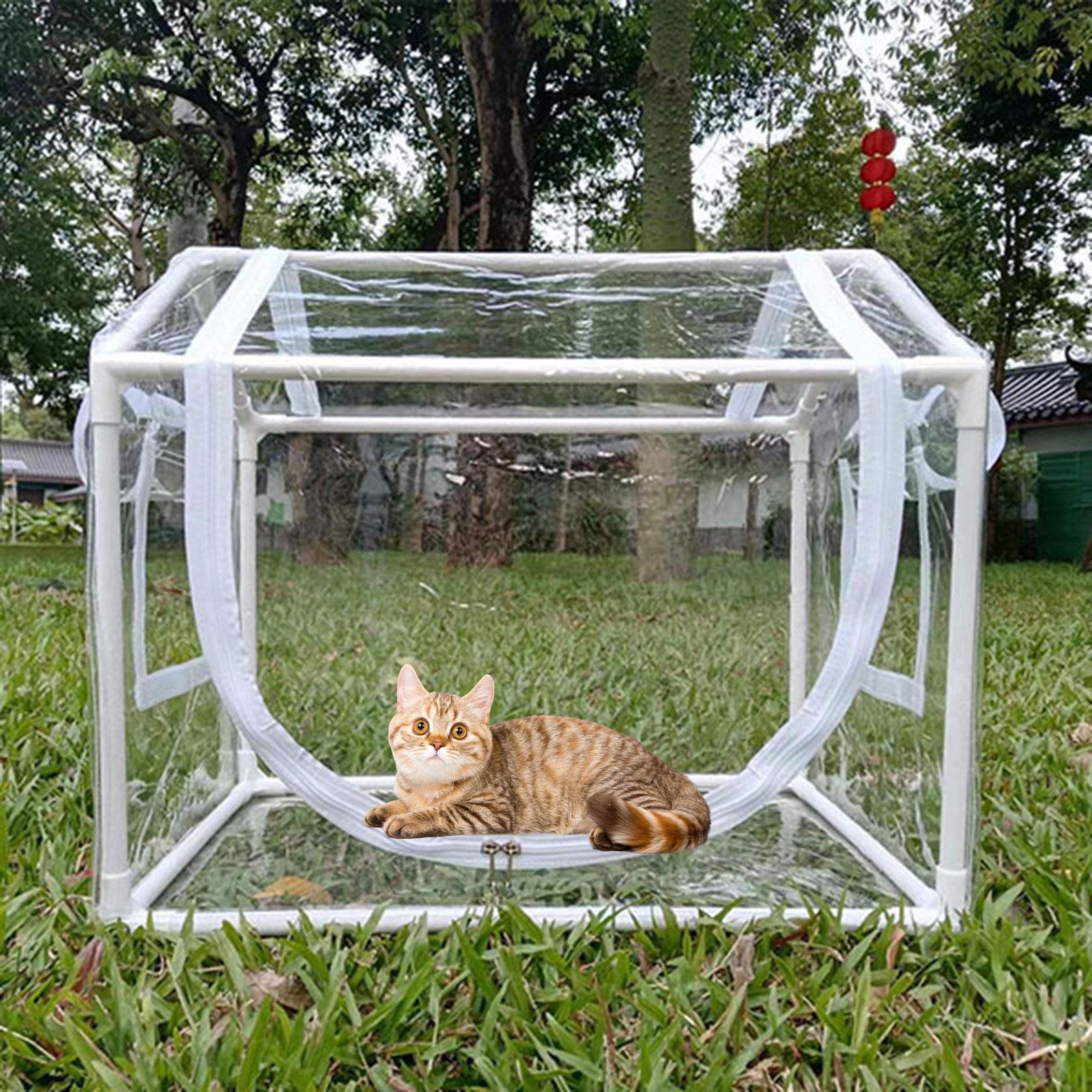 Kleines PVC-Mini-Gewächshaus K – Greenhouse Mini Indoor Bewertung und Preis