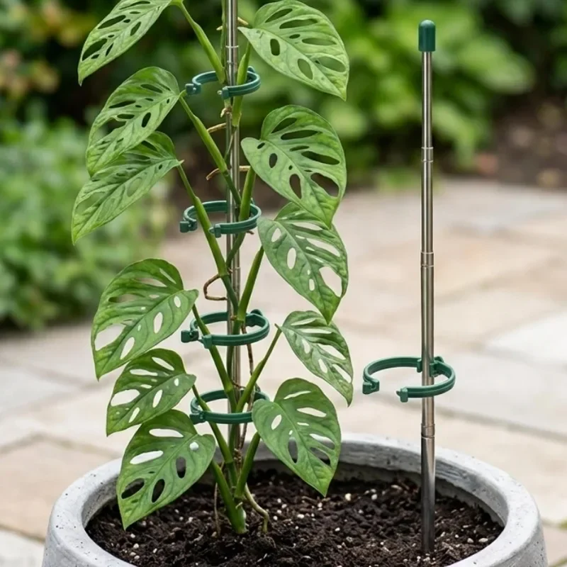 5/1 Stück Einziehbarer Pflanze – Gardening Tools Green Bewertung und Preis