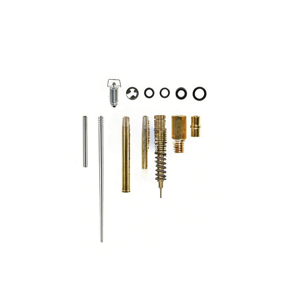 1 Satz Vergaser-Reparatursatz  – Gardening Tools Shop Bewertung und Preis