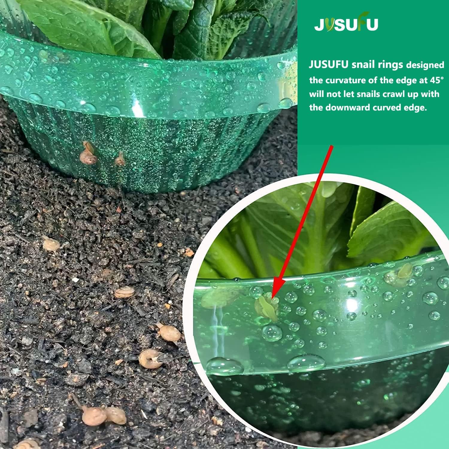 1/30 Stück Pflanzenschutzringe – Gardening Tools Green Bewertung und Preis
