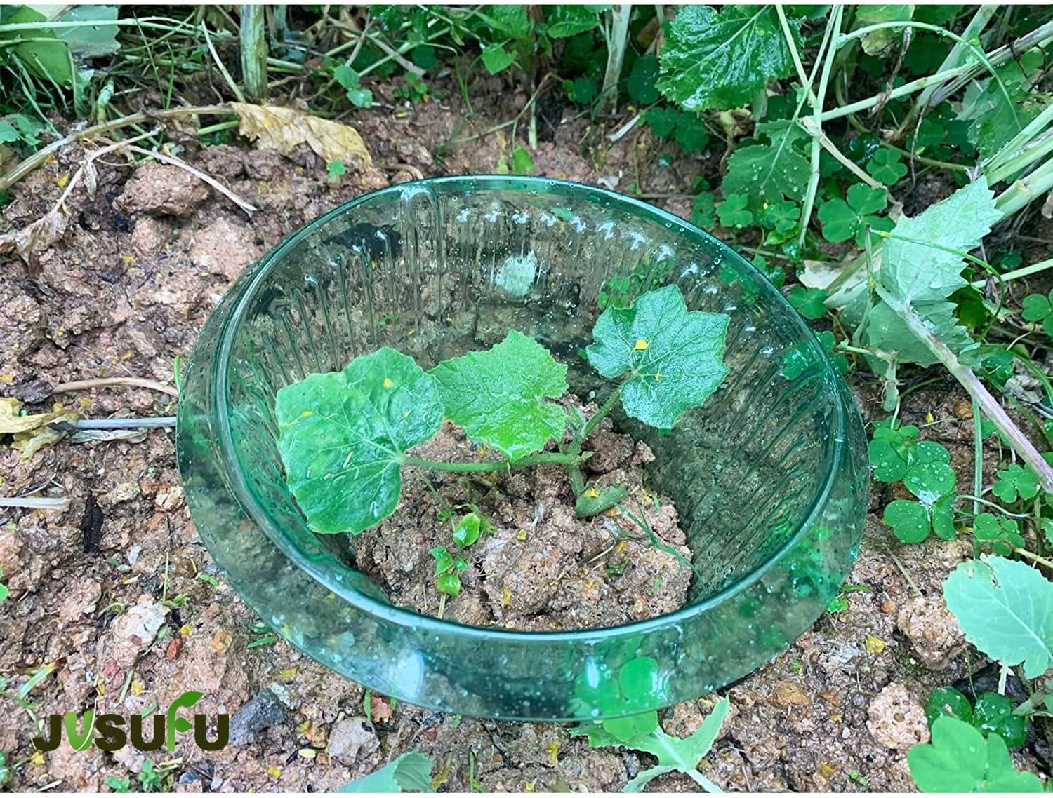 1/30 Stück Pflanzenschutzringe – Gardening Tools Green Bewertung und Preis
