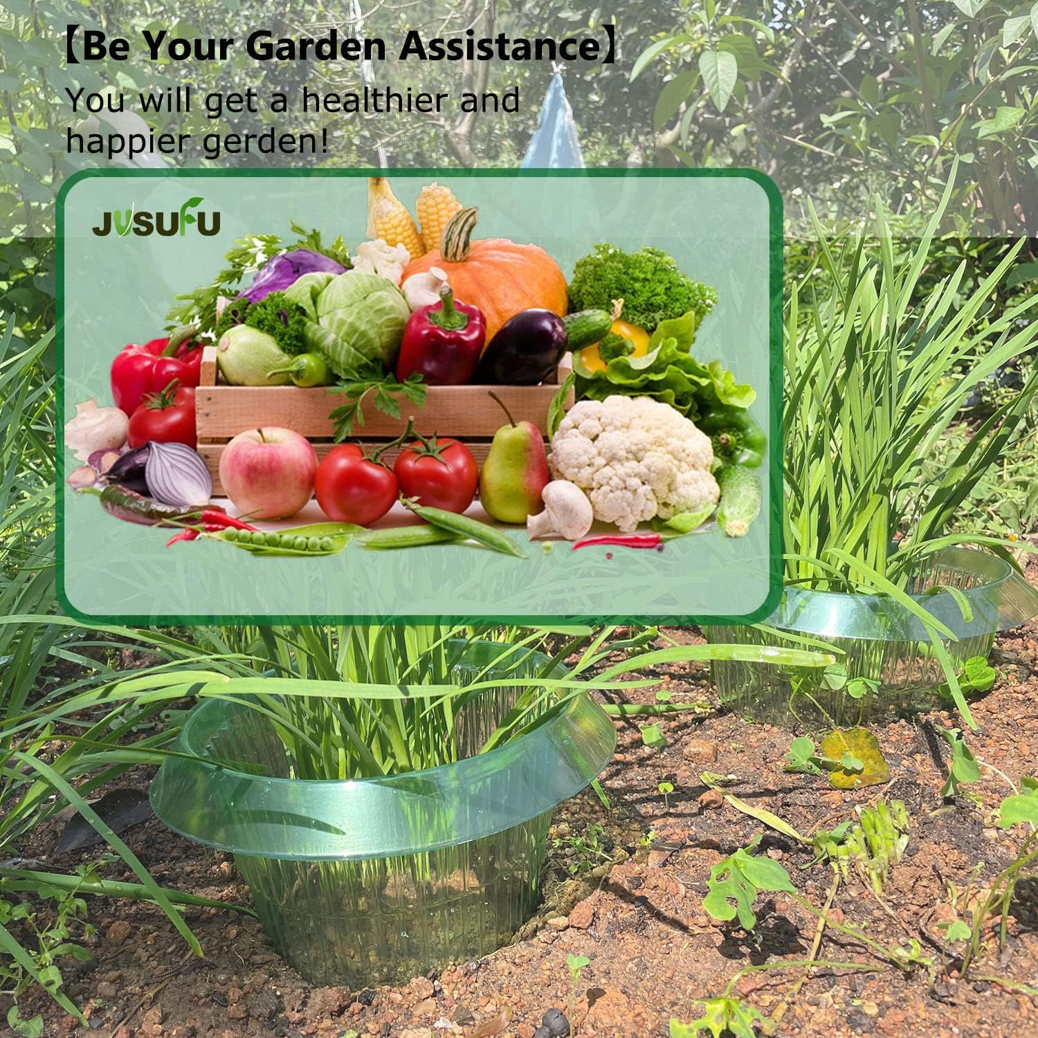 1/30 Stück Pflanzenschutzringe – Gardening Tools Green Bewertung und Preis