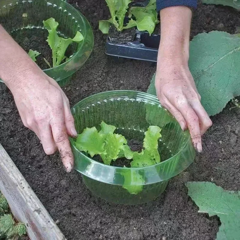 Pflanzen Slug Schutz Ringe Gem – Gardening Tools Green Bewertung und Preis