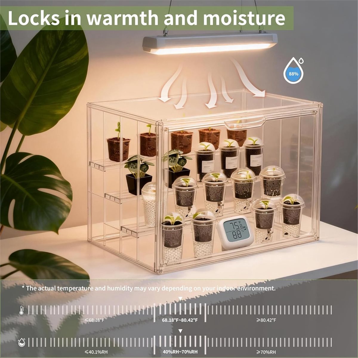 Industrielle Werkzeuge: Transp – Greenhouse Mini Indoor Bewertung und Preis