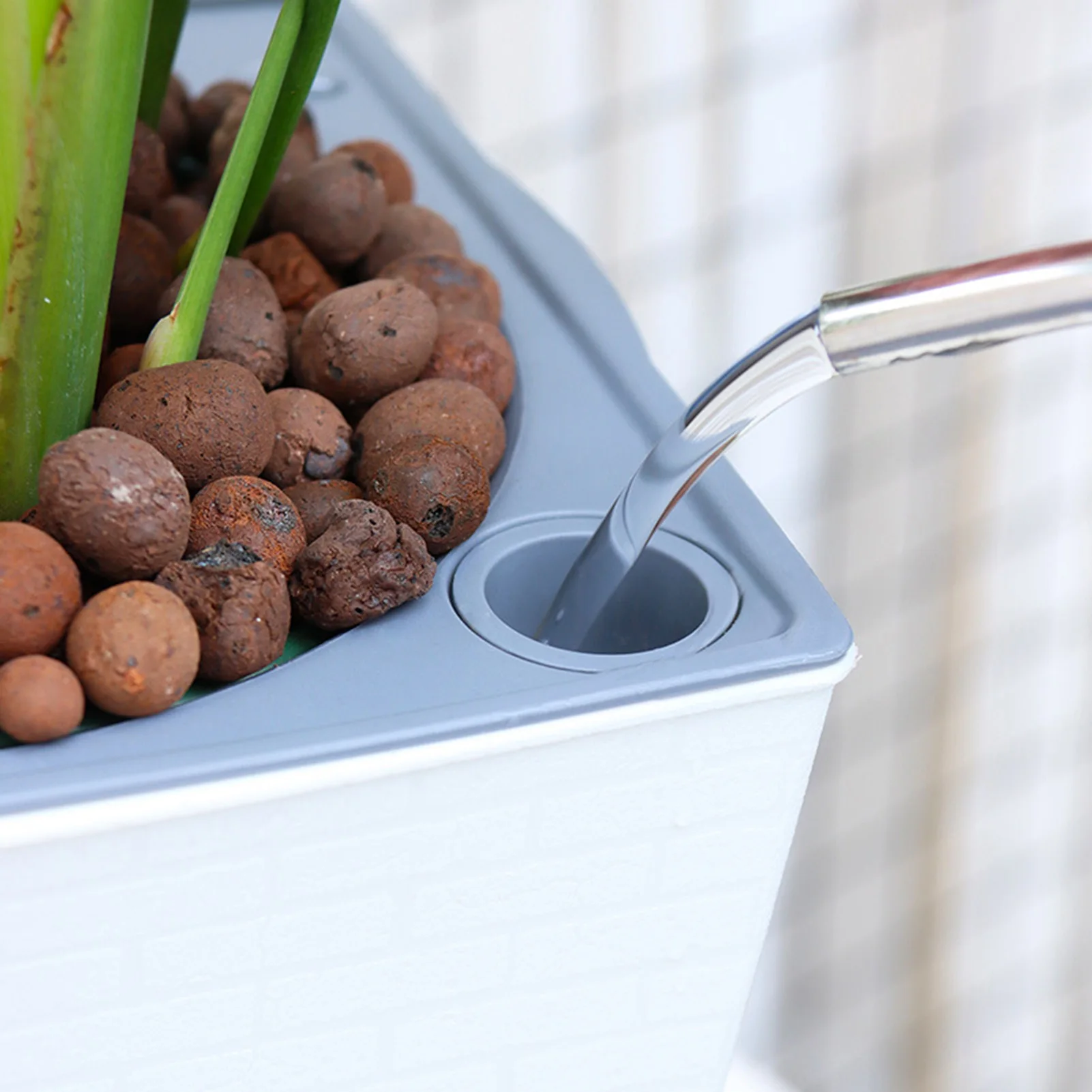 Selbstbewässernder Pflanzer, h – Gardening Tools Green Bewertung und Preis